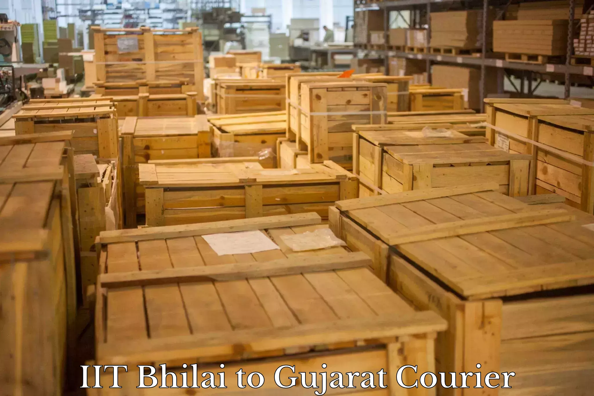 Multi-service courier options IIT Bhilai to Gujarat