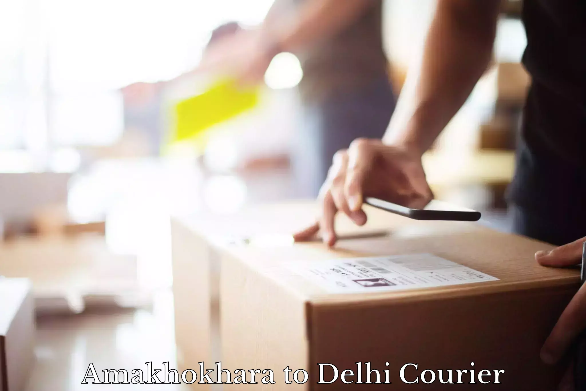 Courier app Amakhokhara to University of Delhi
