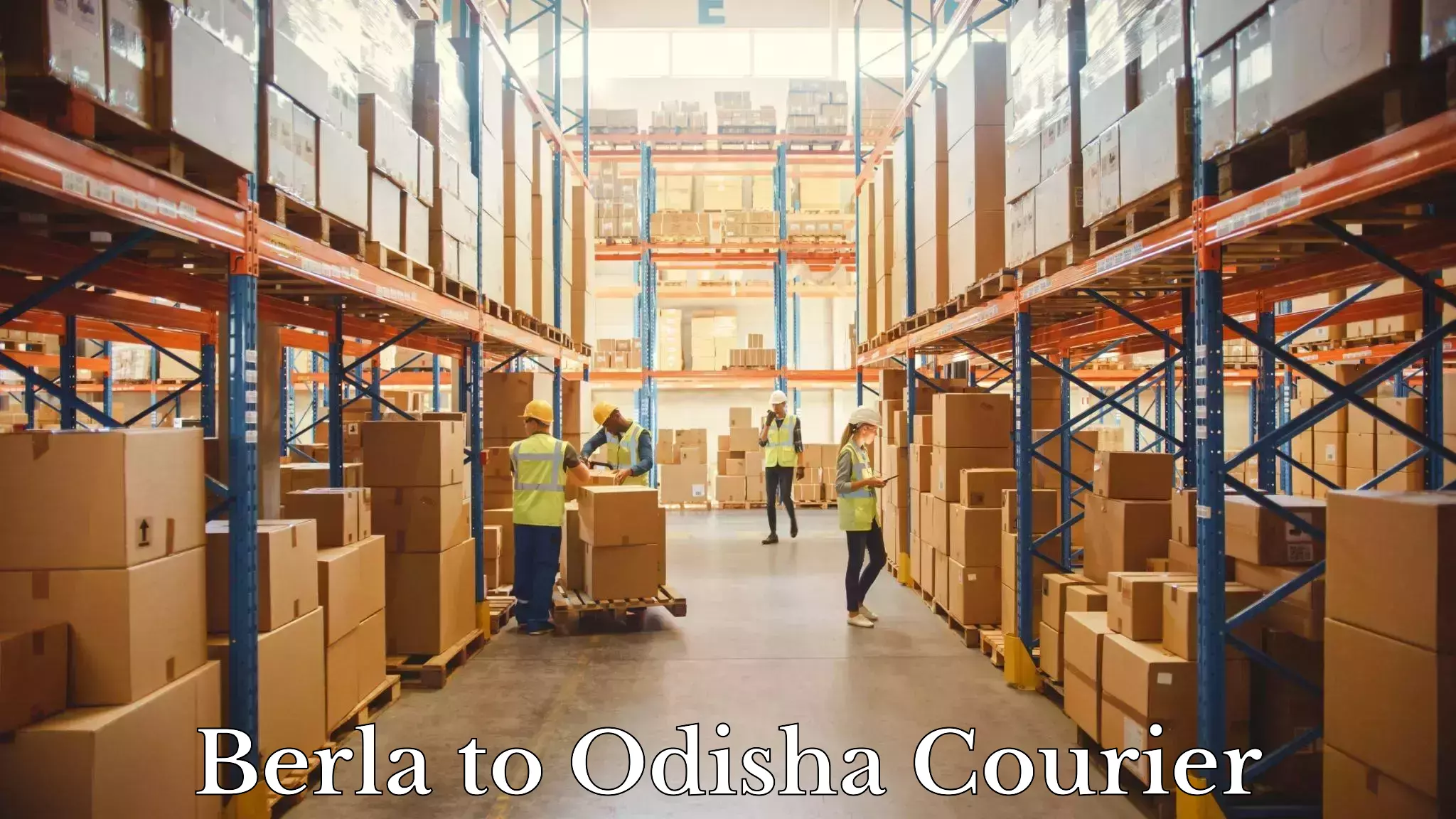 Custom courier packages Berla to Odisha