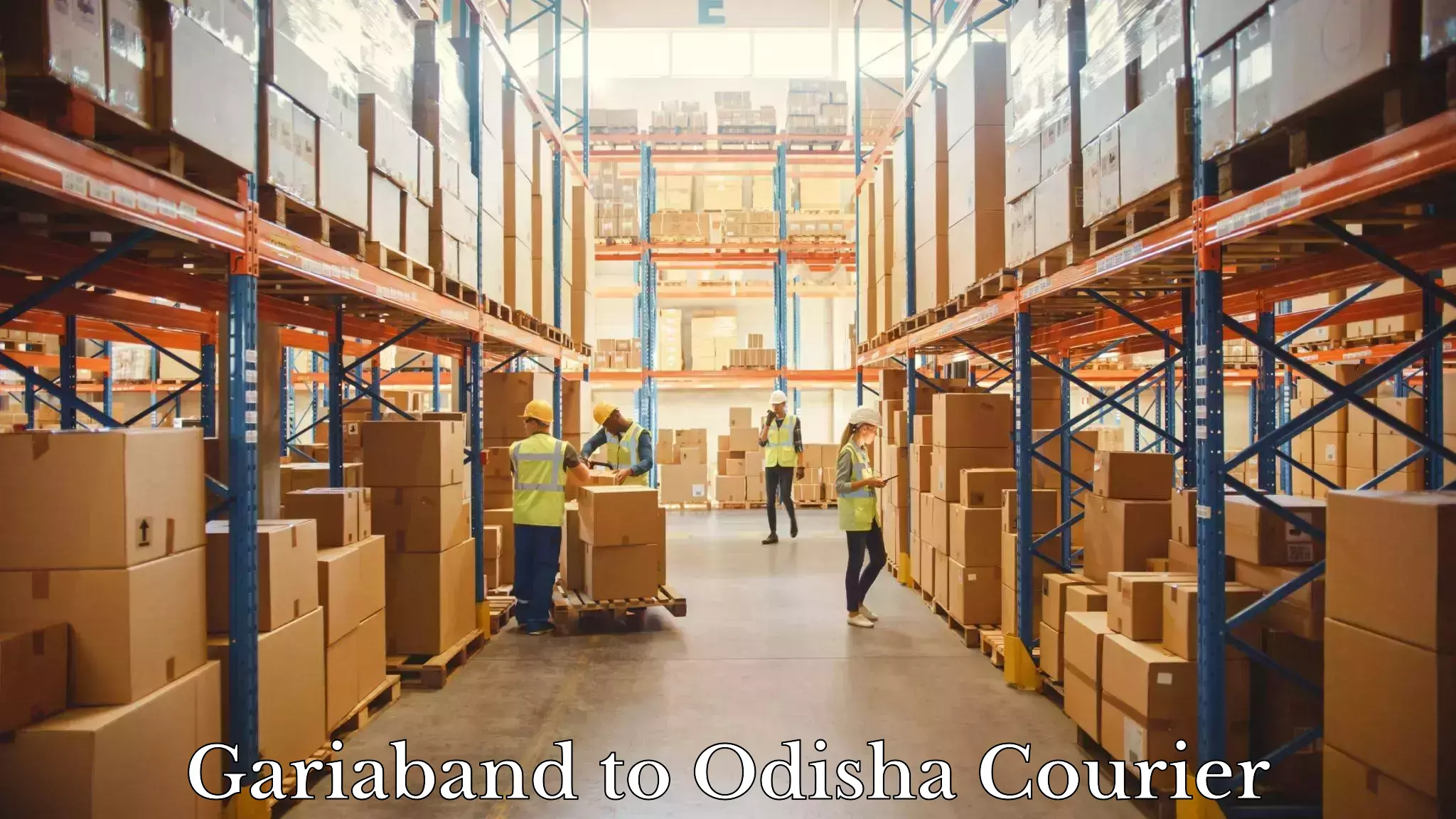 Trackable shipping service Gariaband to Paralakhemundi