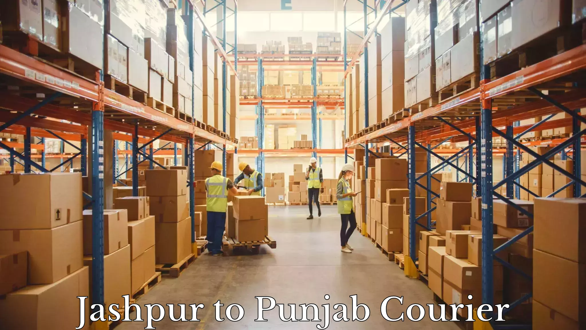 Optimized delivery routes Jashpur to Central University of Punjab Bathinda