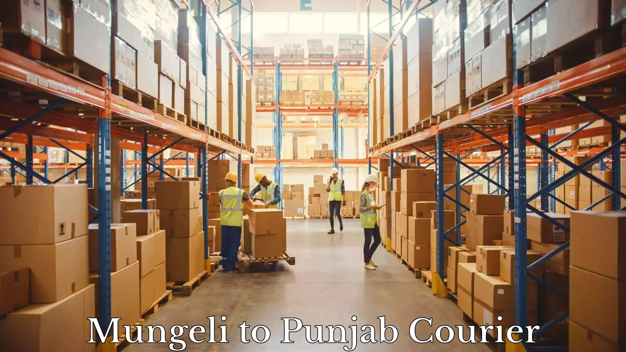 Multi-city courier Mungeli to Nangal