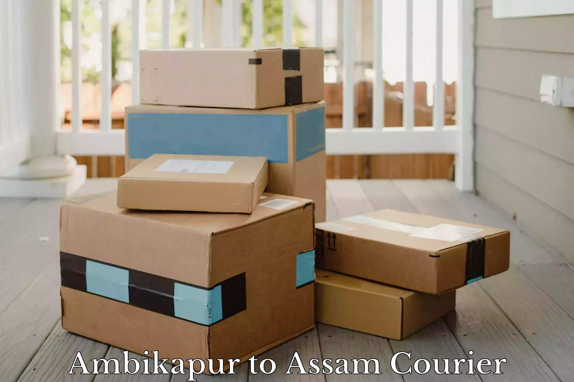 Cargo delivery service Ambikapur to Hojai Lanka