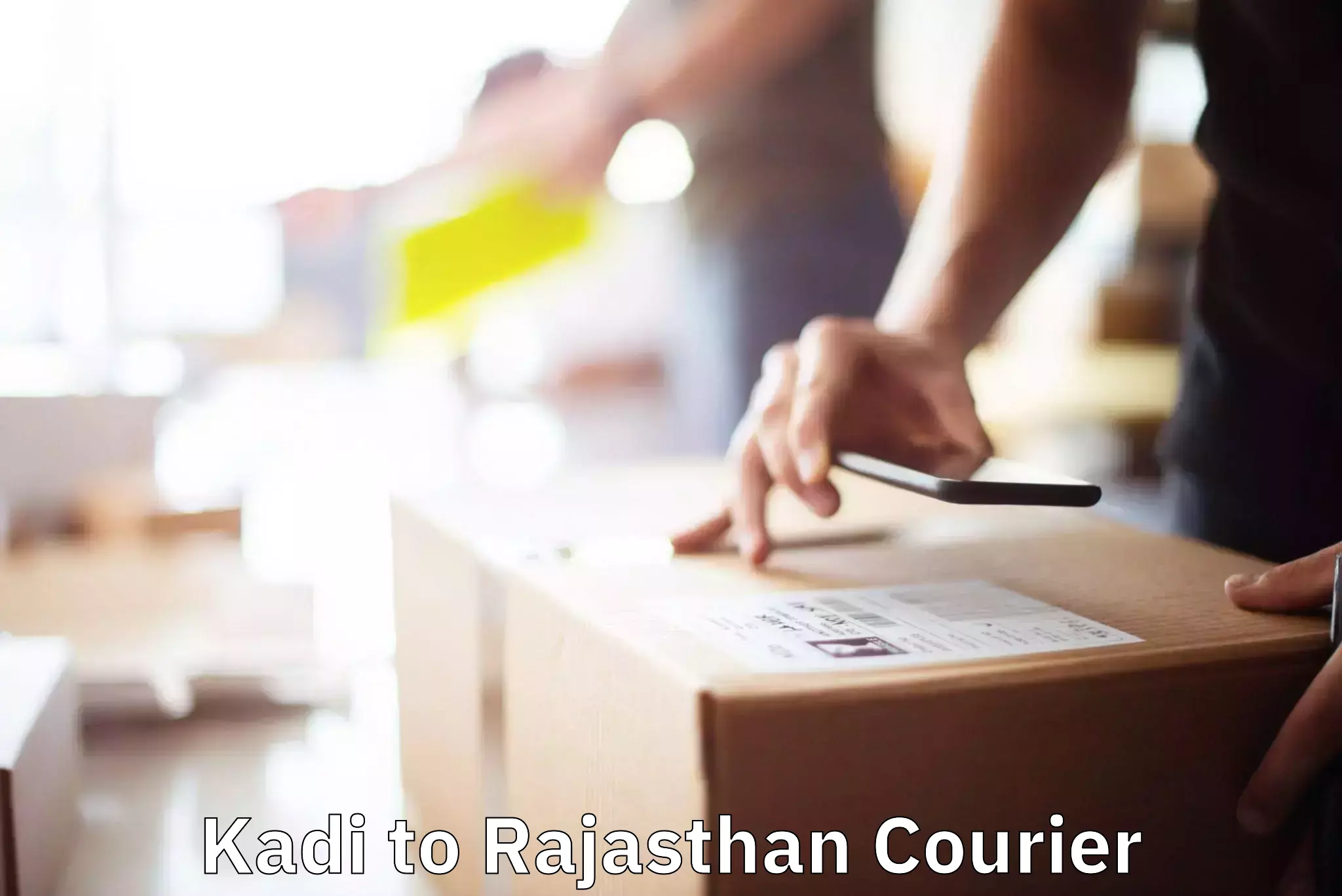 Professional furniture movers Kadi to Bikaner