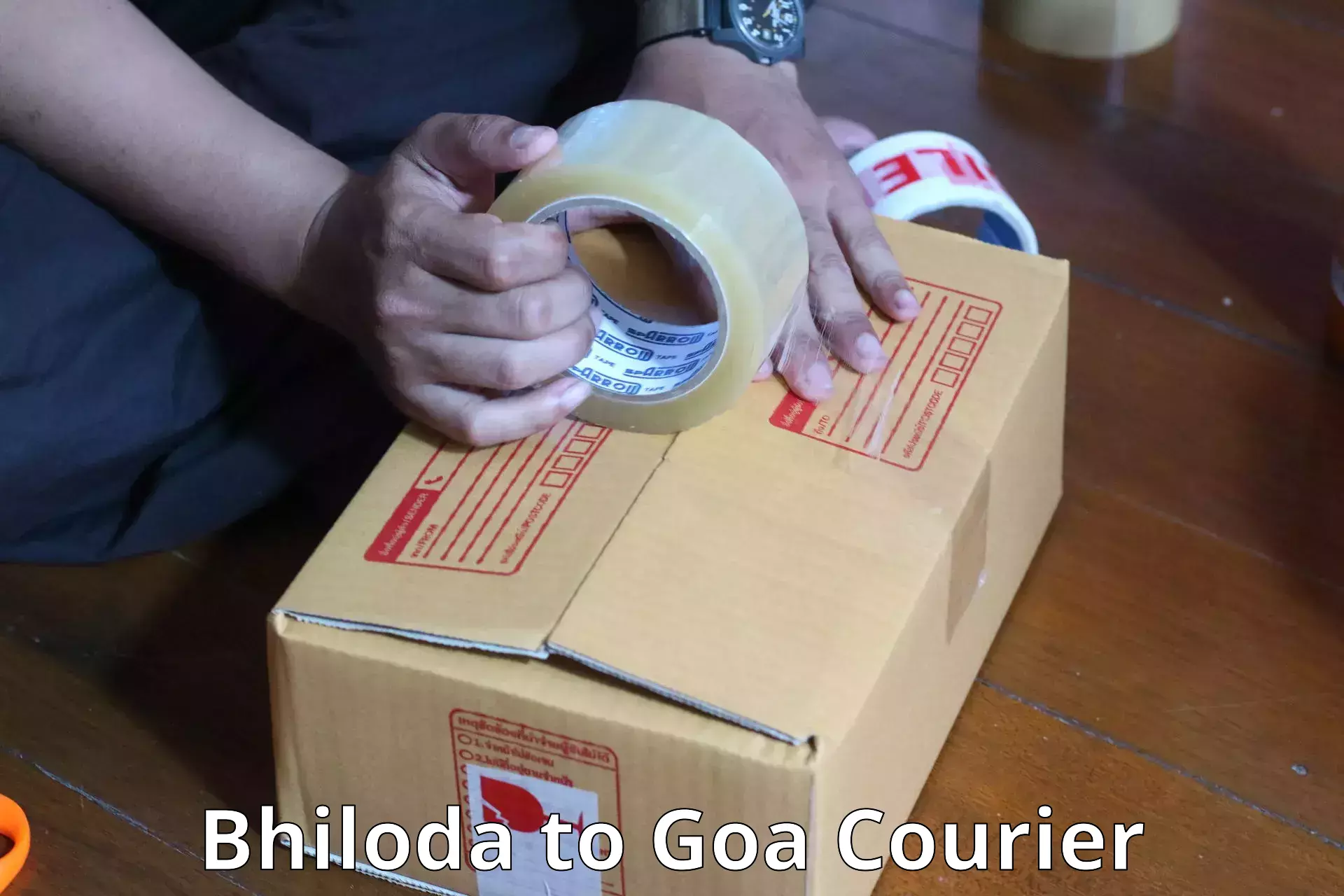 Versatile luggage courier Bhiloda to South Goa
