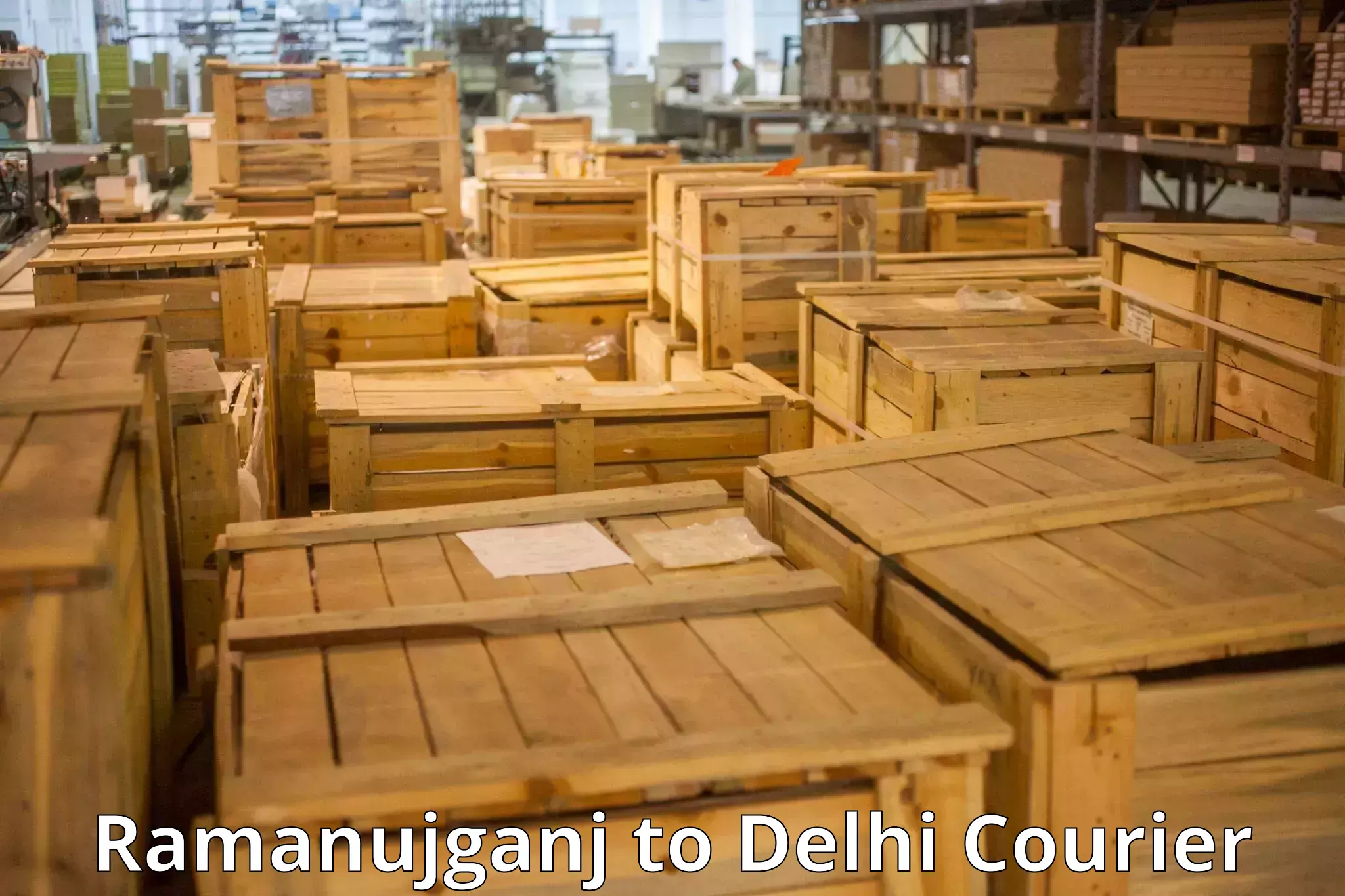 Emergency luggage shipping Ramanujganj to Subhash Nagar