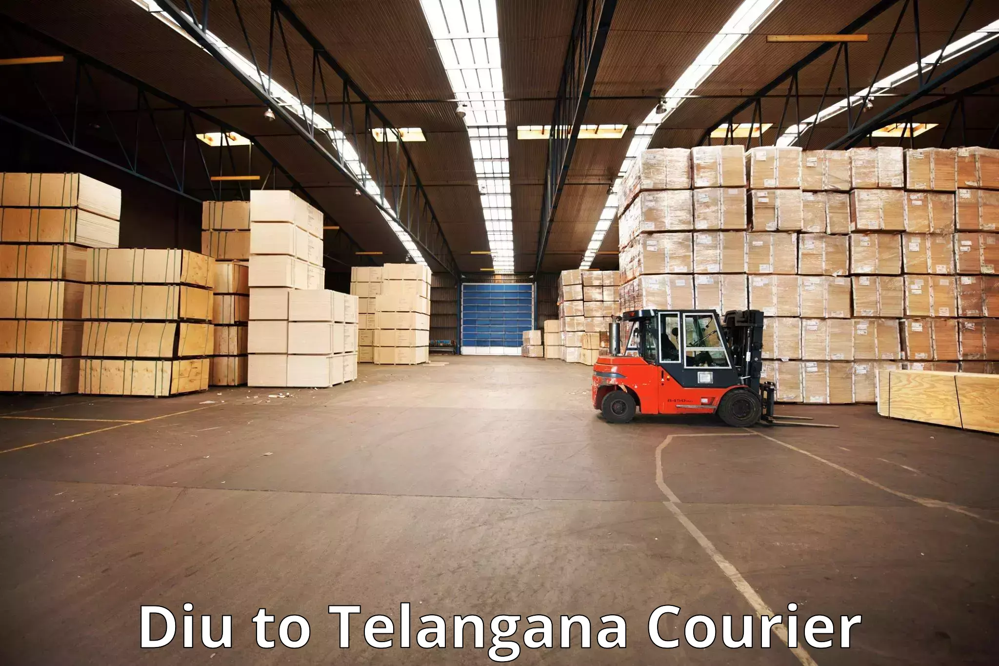 Luggage transport company Diu to Allapalli