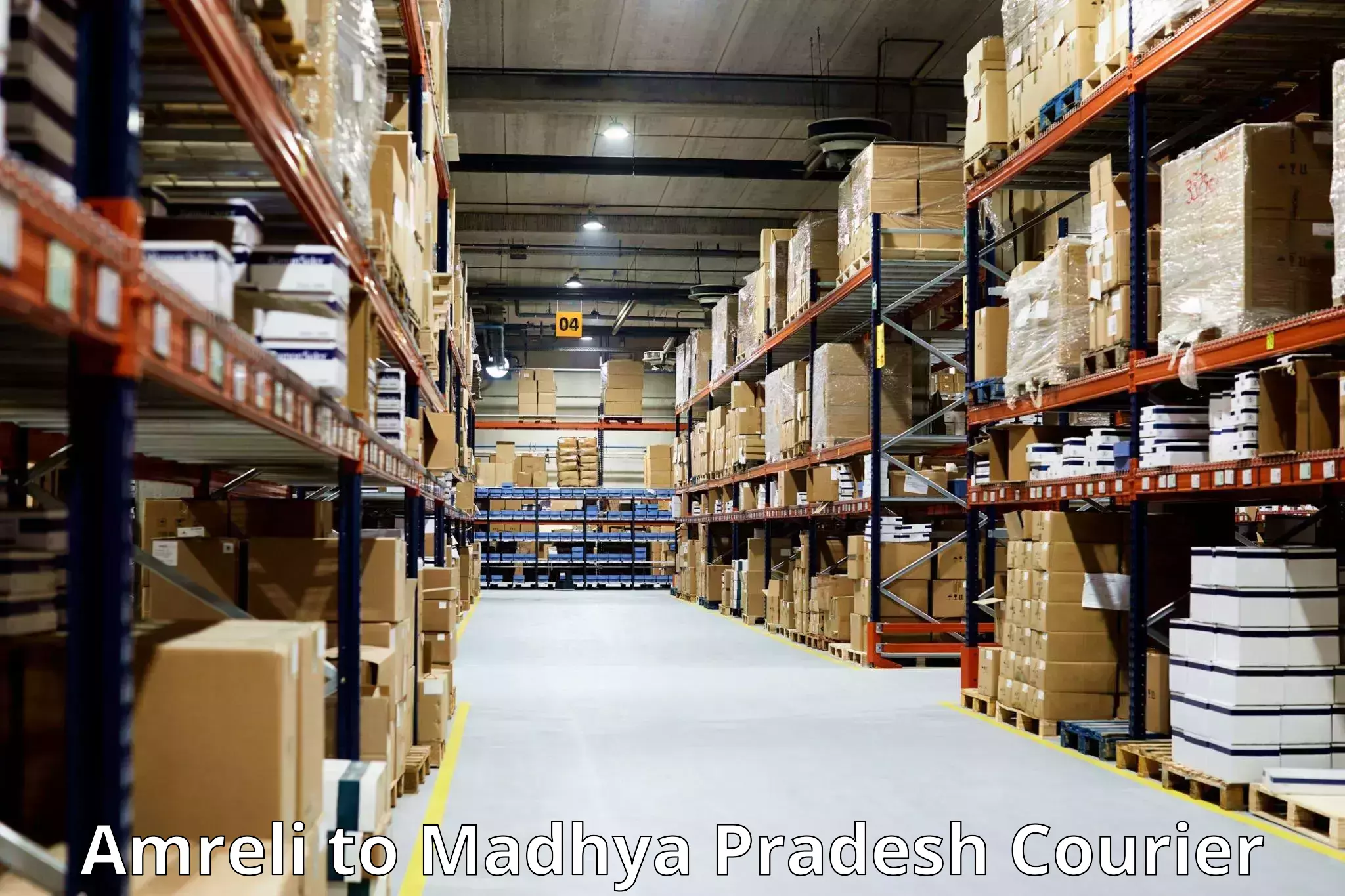 Hassle-free luggage shipping Amreli to Madhya Pradesh
