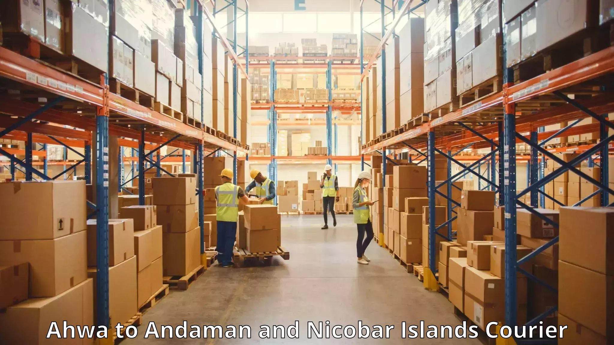 Luggage delivery providers Ahwa to South Andaman