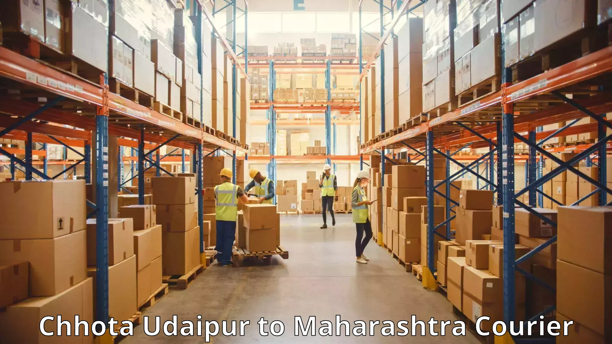 Baggage handling services Chhota Udaipur to DY Patil Vidyapeeth Mumbai