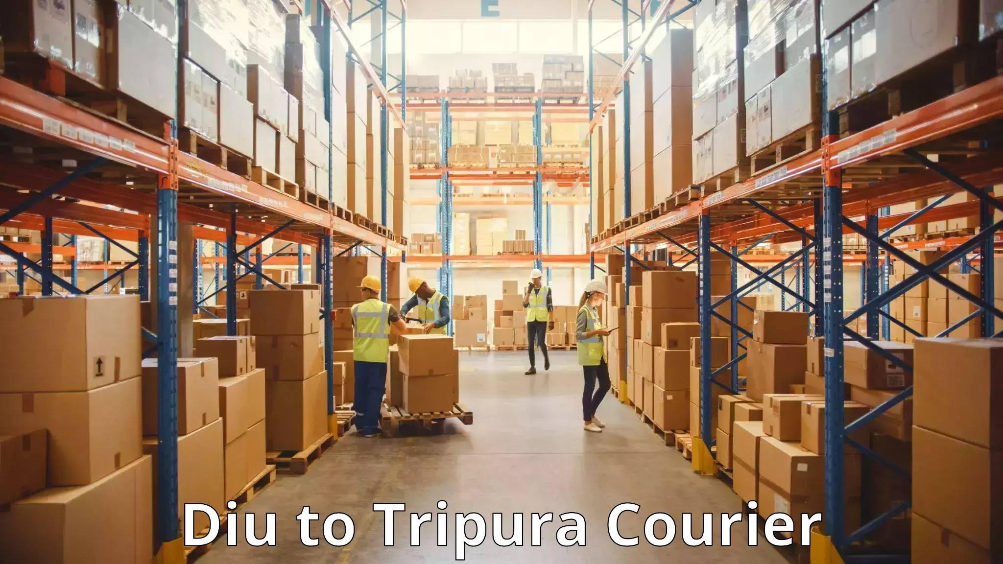 Luggage shipment processing Diu to South Tripura