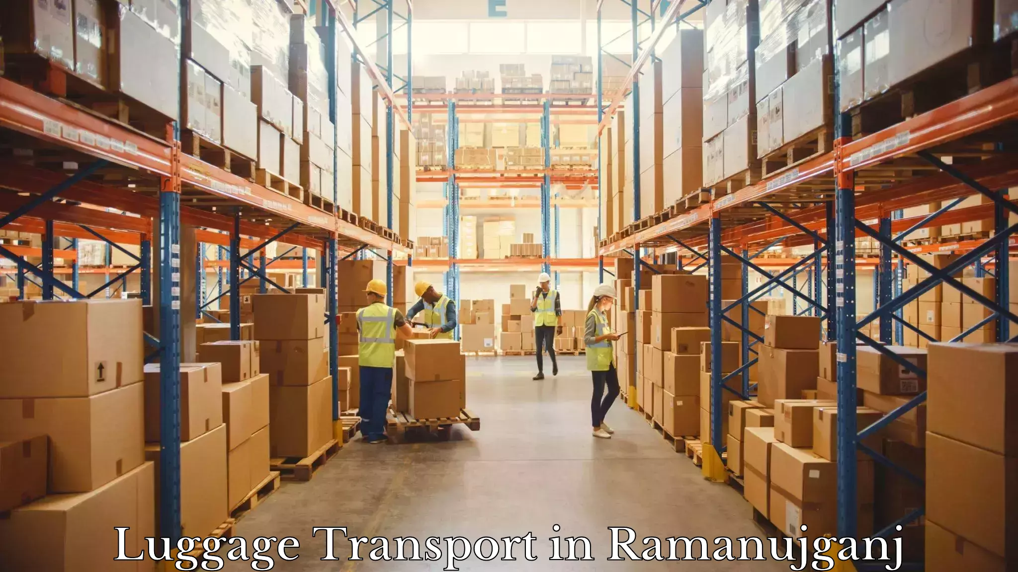 Baggage delivery solutions in Ramanujganj