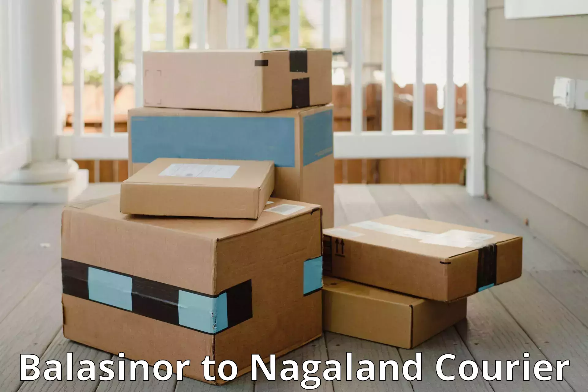 Trackable baggage shipping Balasinor to Nagaland