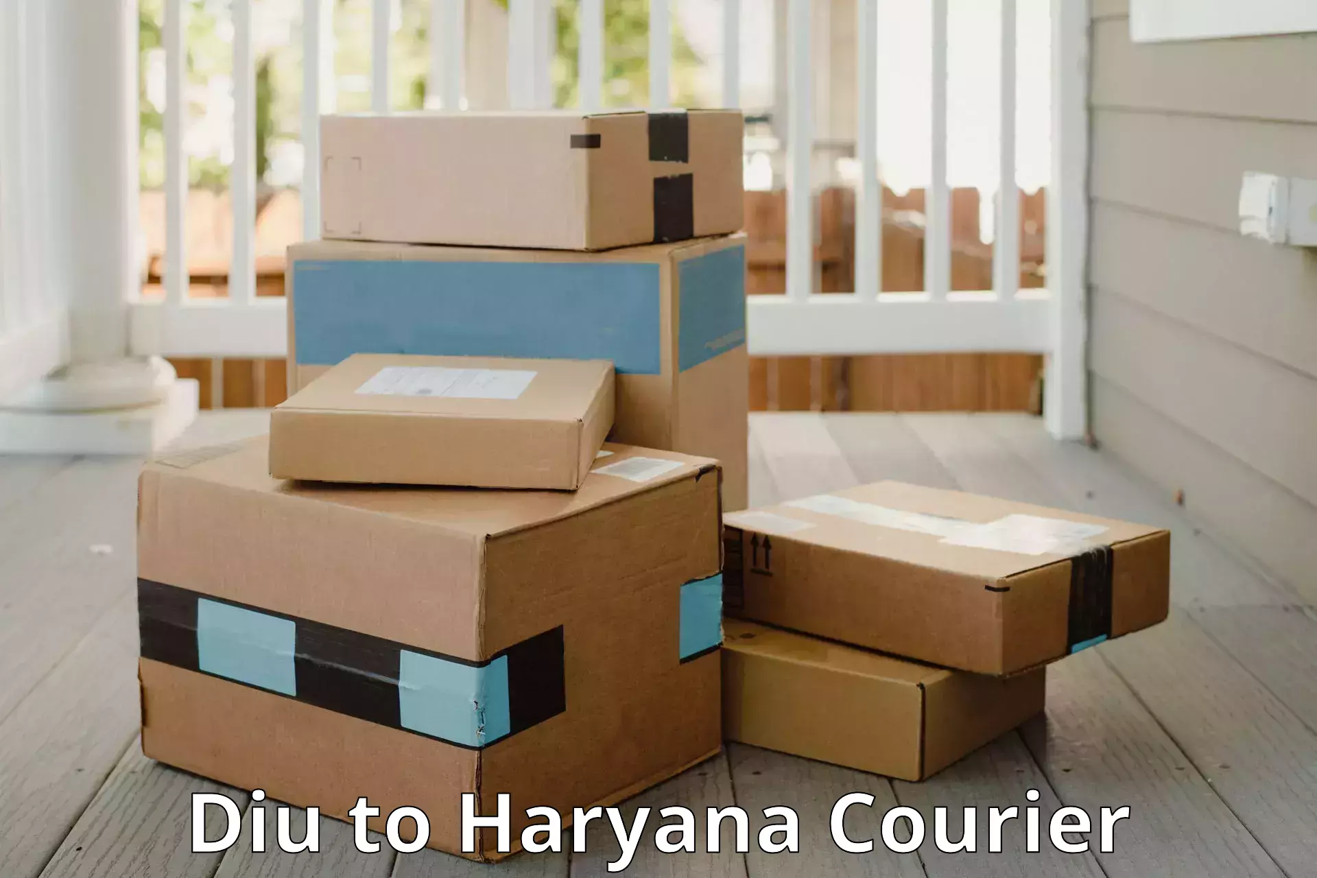 Luggage delivery app Diu to Haryana