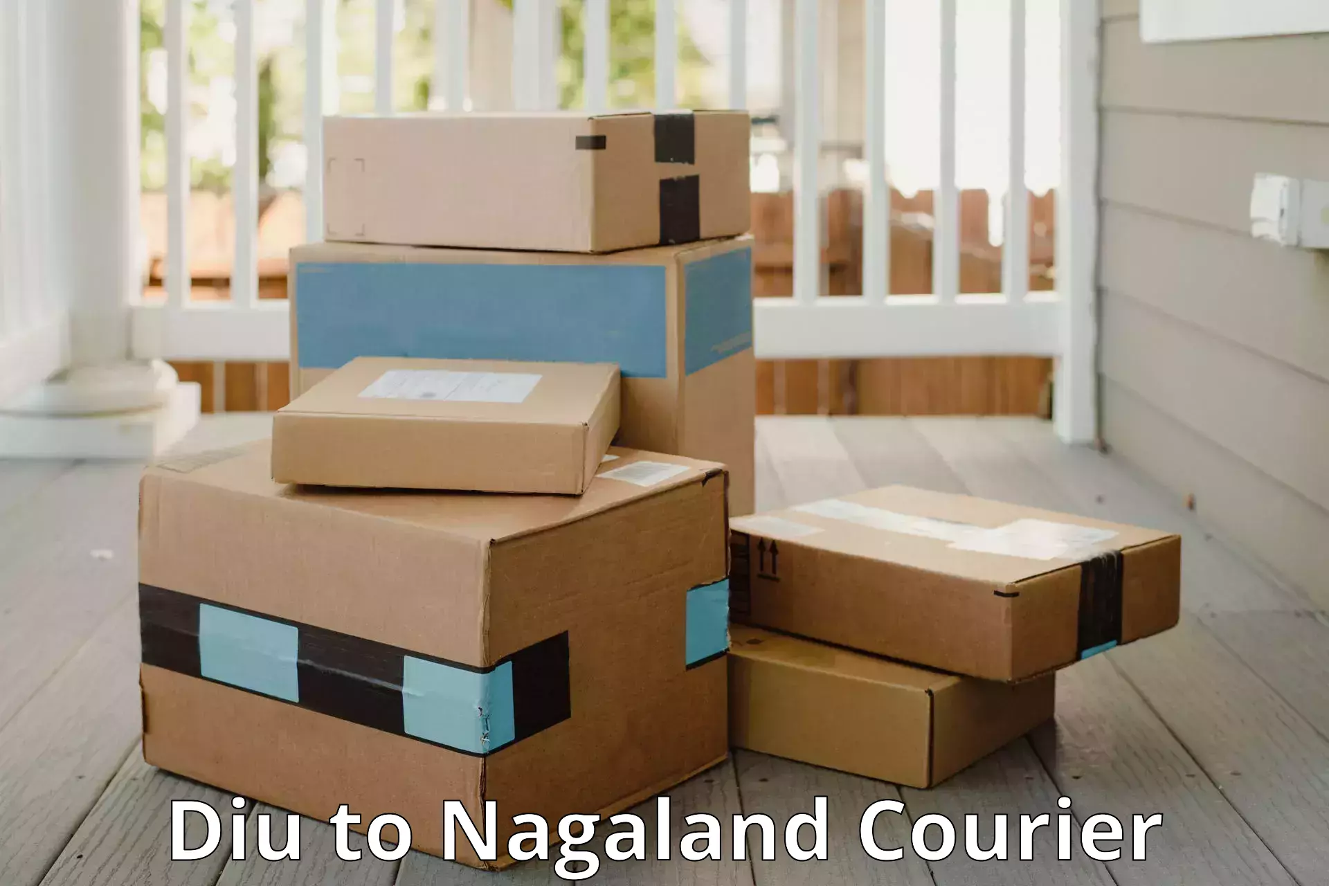 Luggage transport consulting Diu to Nagaland
