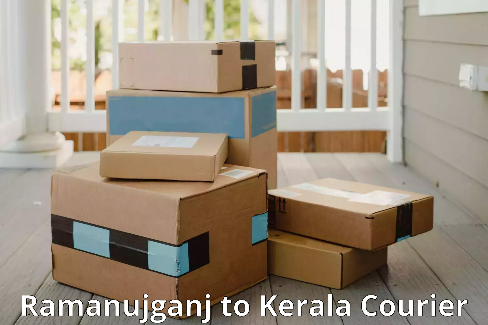 Affordable luggage courier Ramanujganj to Cochin Port Kochi