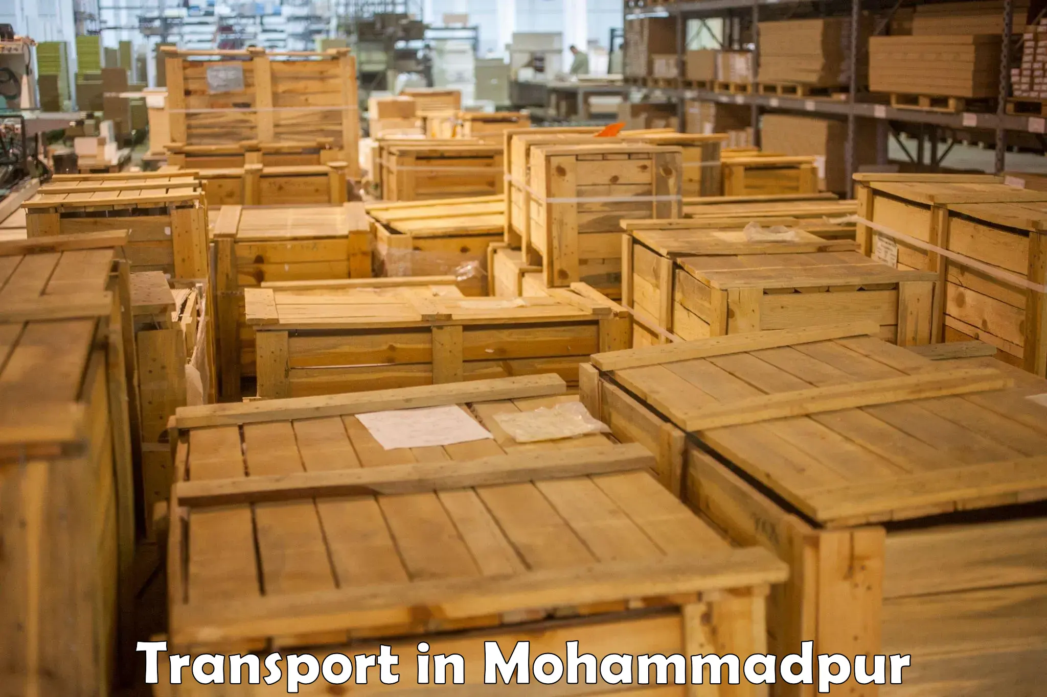 Air cargo transport services in Mohammadpur
