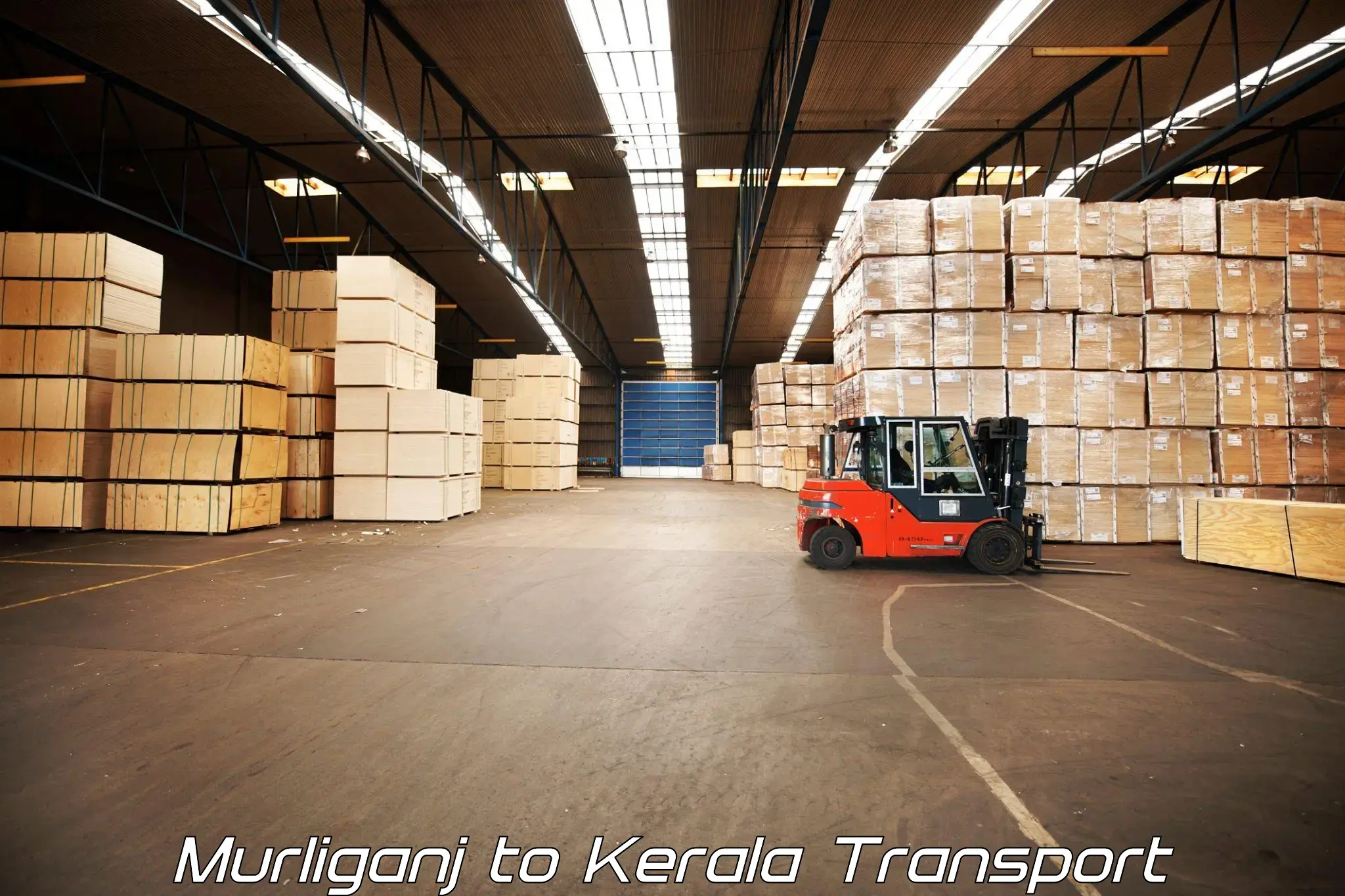 Commercial transport service Murliganj to Akaloor