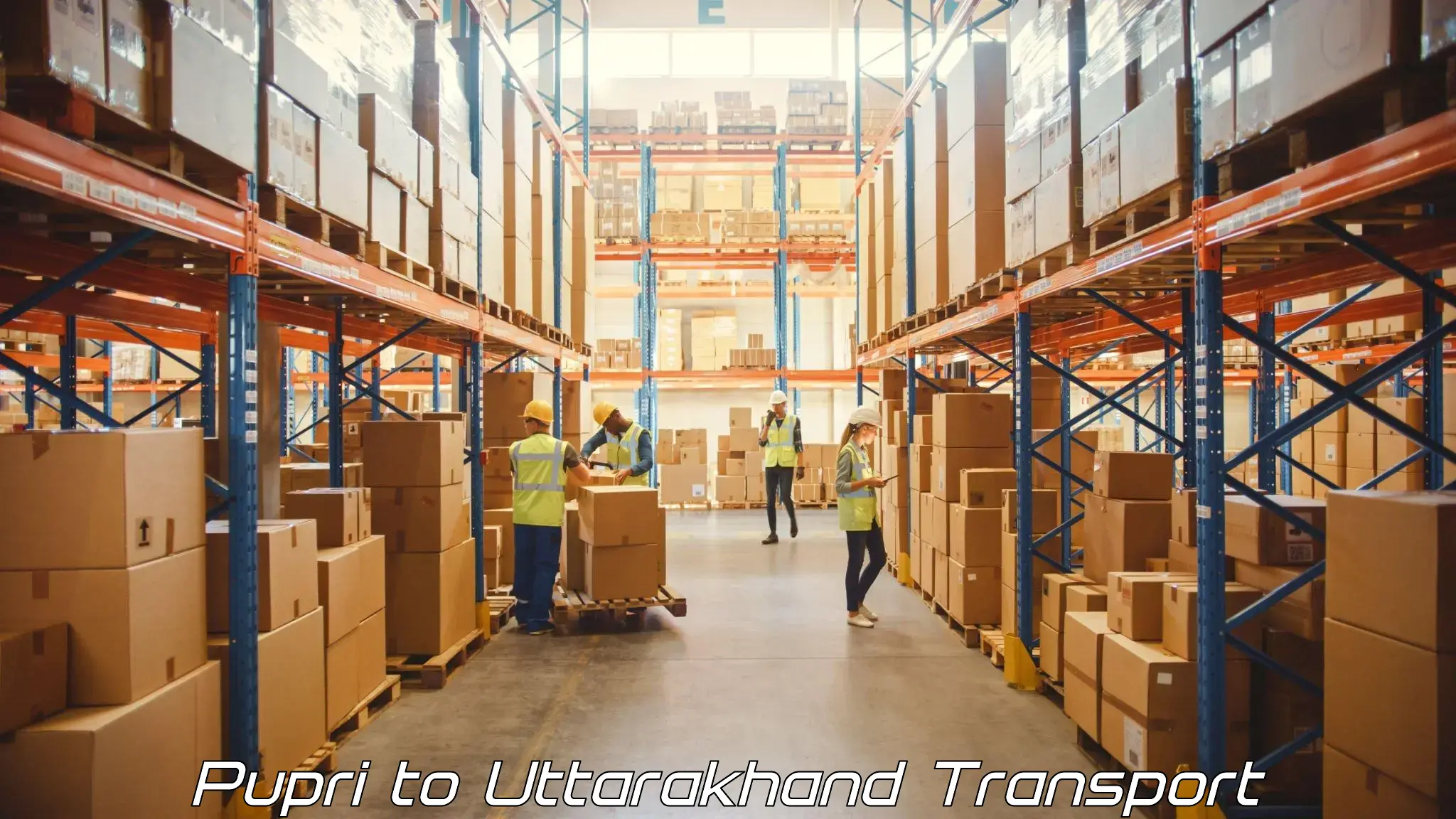 Material transport services in Pupri to Didihat