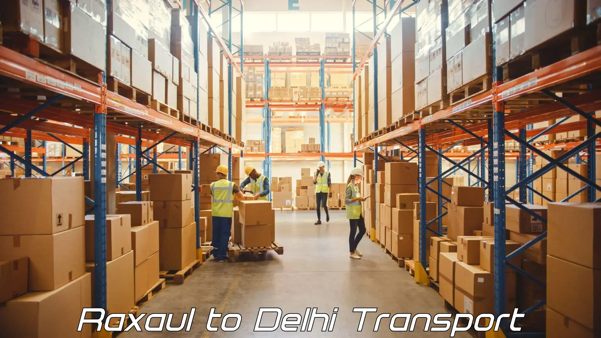 Cargo transport services Raxaul to Ashok Vihar