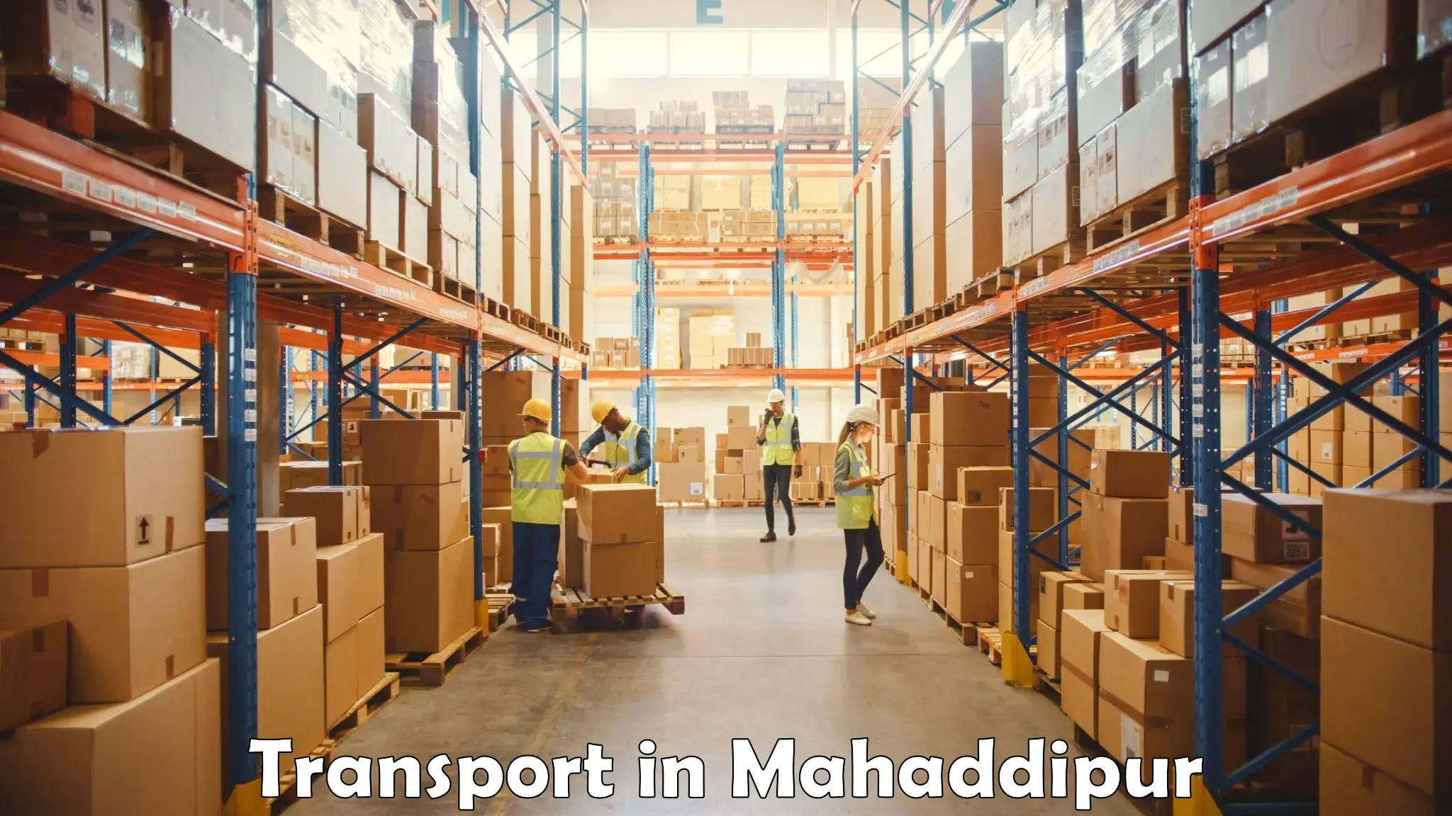 Logistics transportation services in Mahaddipur