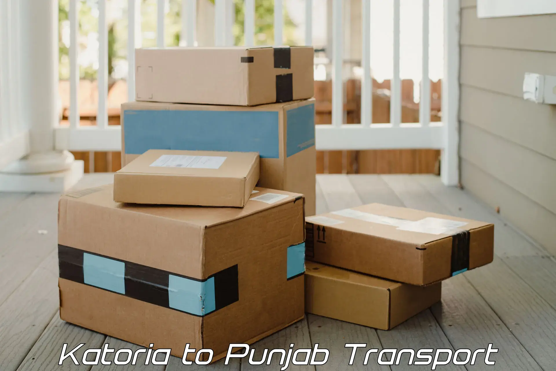 Vehicle transport services Katoria to Punjab