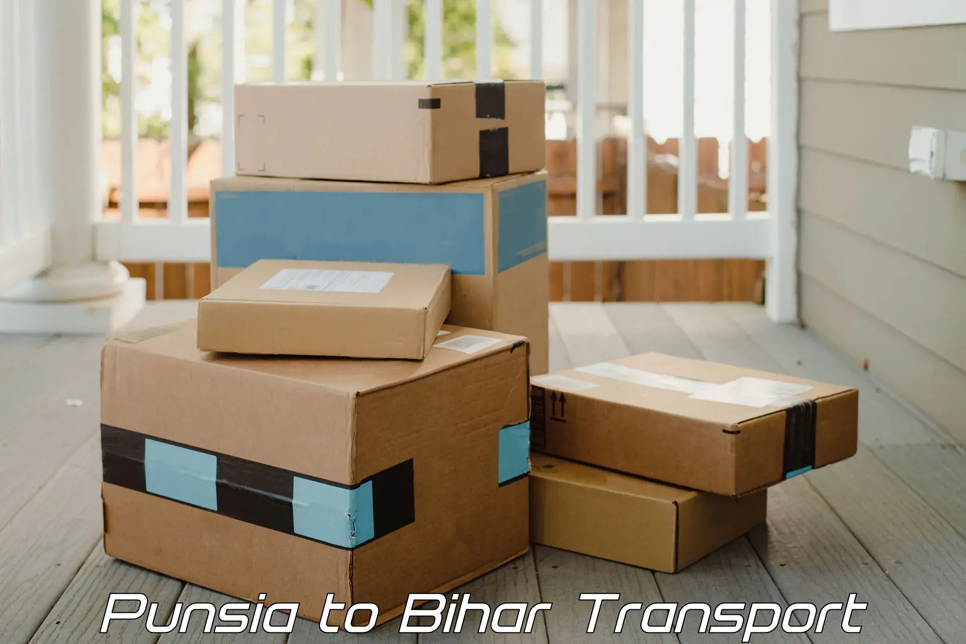 India truck logistics services Punsia to Mahnar Bazar