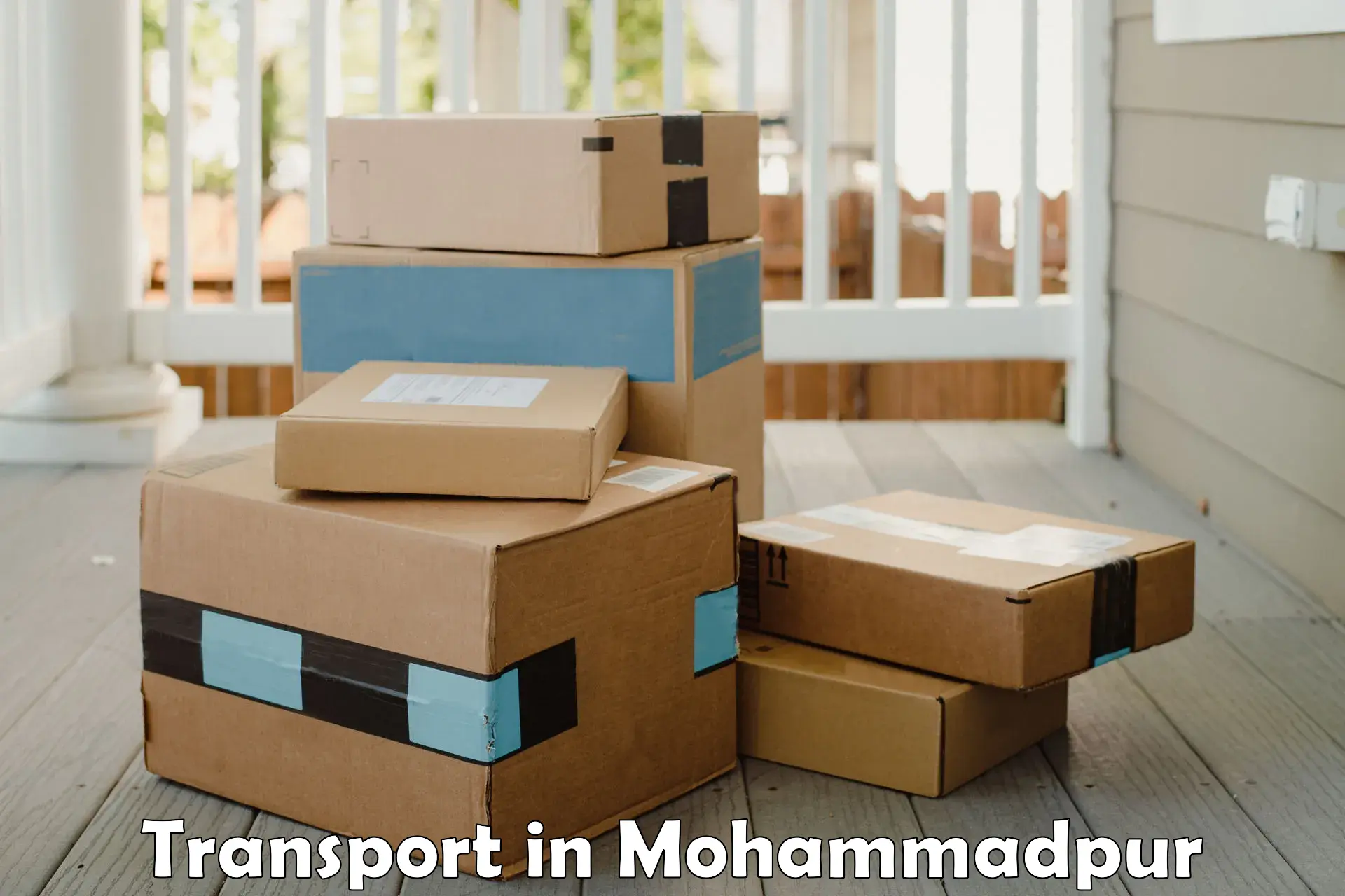 Package delivery services in Mohammadpur
